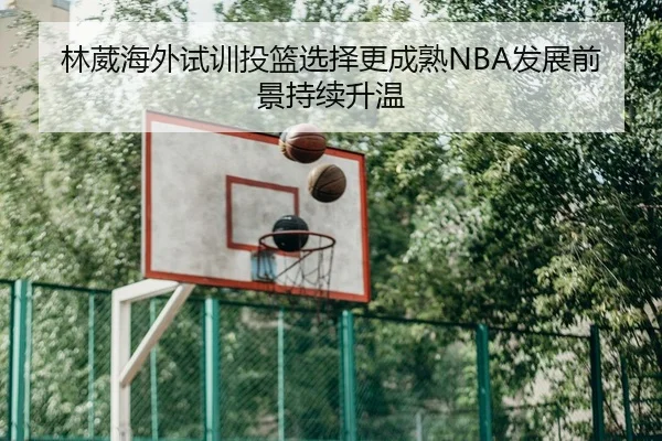 林葳海外试训投篮选择更成熟NBA发展前景持续升温